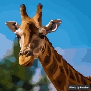 Meet your Posher, Roxy